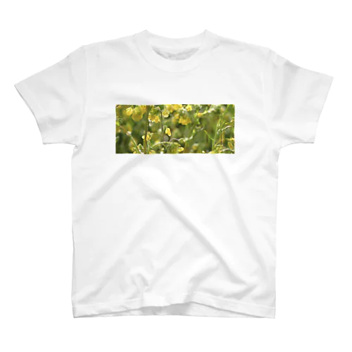 雨上がりの菜の花 Regular Fit T-Shirt