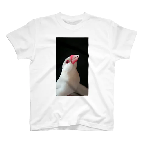 文鳥 スタンダードTシャツ