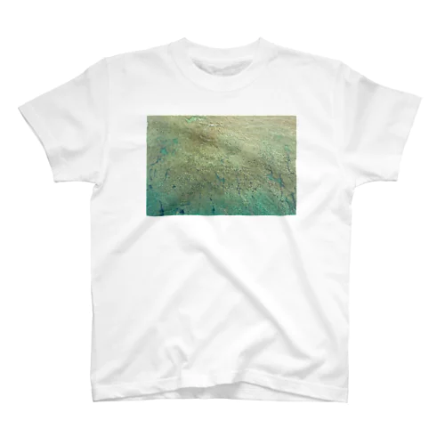 coyote brand Drone shot T-shirts スタンダードTシャツ