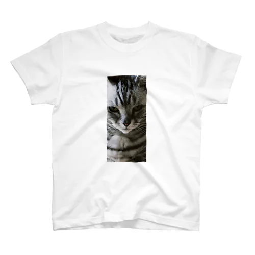 ミィちゃん(16歳)(寄り) Regular Fit T-Shirt