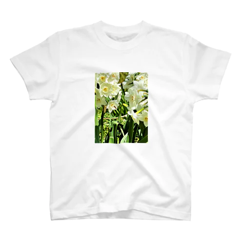 水仙の庭 スタンダードTシャツ