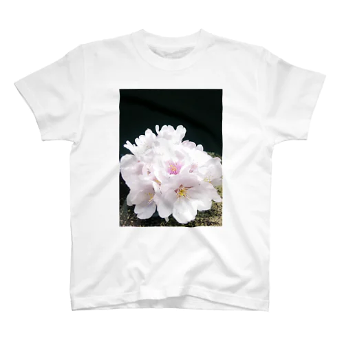 桜花 2 Regular Fit T-Shirt