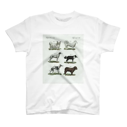 1802年ドイツの犬たち Regular Fit T-Shirt