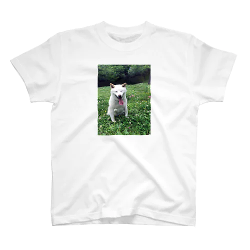 実家の犬２ Regular Fit T-Shirt