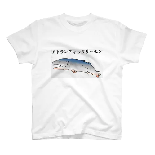 スタンダードTシャツ