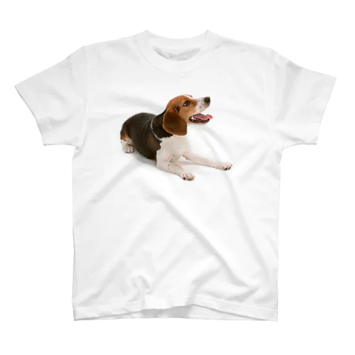 ビーグル犬 Regular Fit T-Shirt