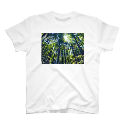 竹林の朝 スタンダードTシャツ