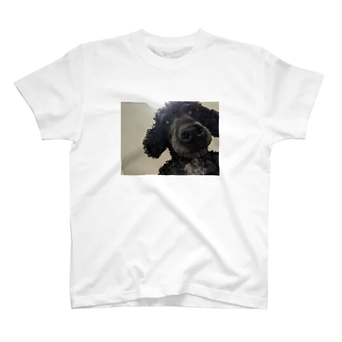 覗く犬 スタンダードTシャツ