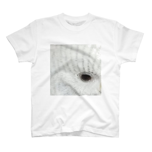 Furim Regular Fit T-Shirt
