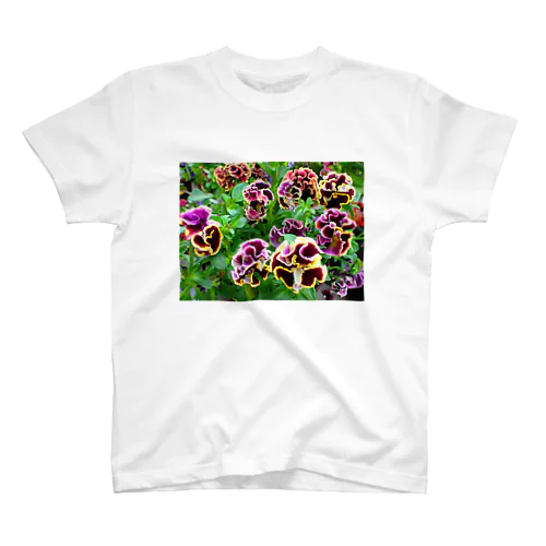 Flower02 pansy スタンダードTシャツ