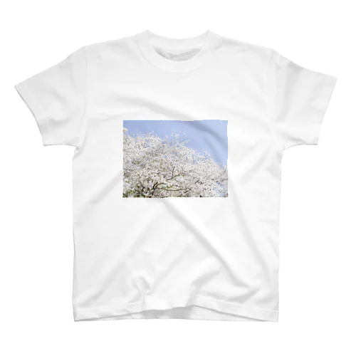 桜 スタンダードTシャツ