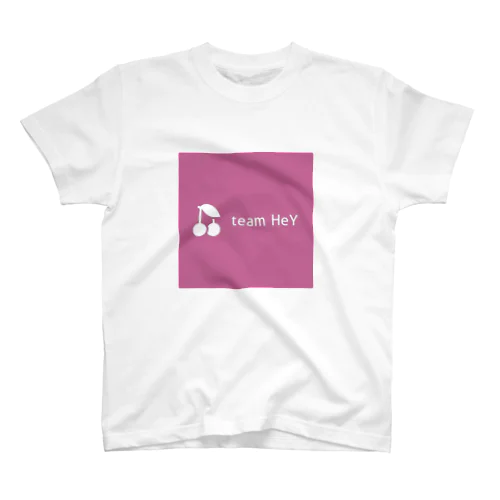 TEAM HeY スタンダードTシャツ