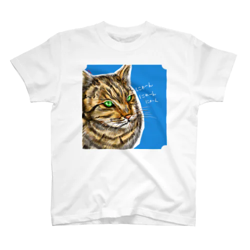 神社にいた猫 スタンダードTシャツ