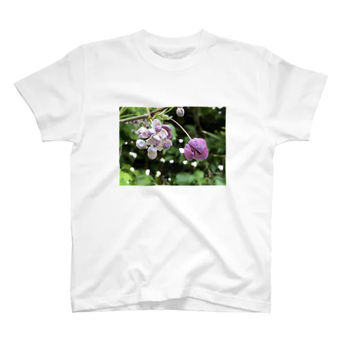 アケビの花。 Regular Fit T-Shirt