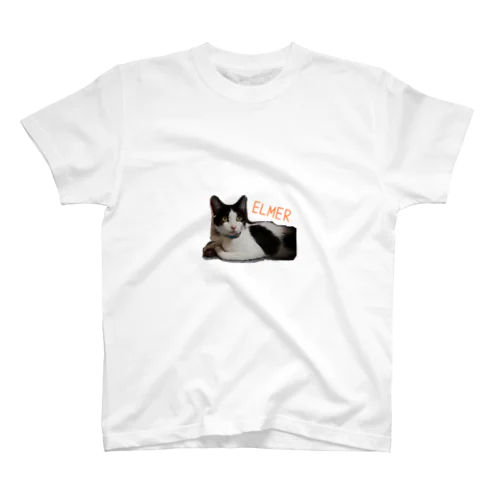 猫と栗 Regular Fit T-Shirt