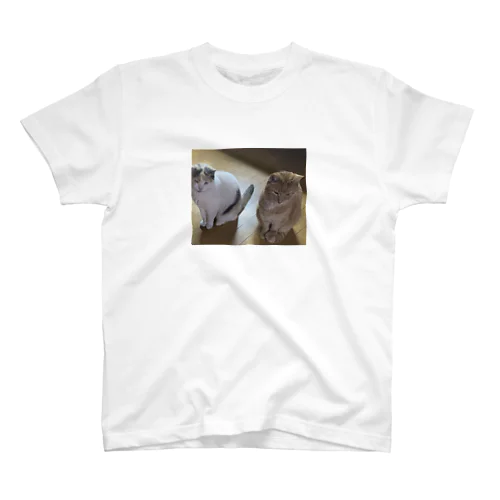 気まずい猫 スタンダードTシャツ