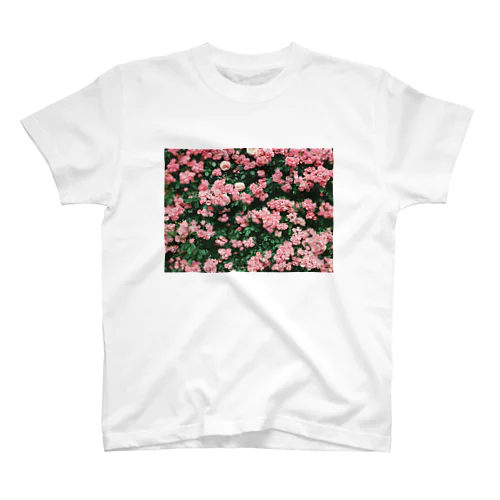 ROSE WALL スタンダードTシャツ