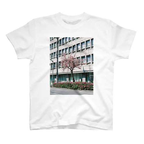 double cherry blossom Regular Fit T-Shirt