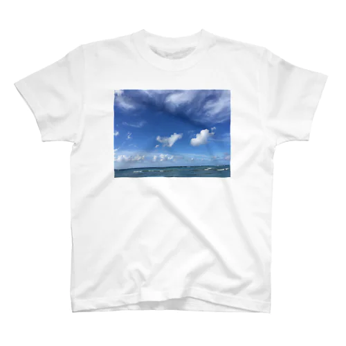 sky Regular Fit T-Shirt