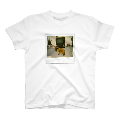 Cute Dog in TV Room スタンダードTシャツ