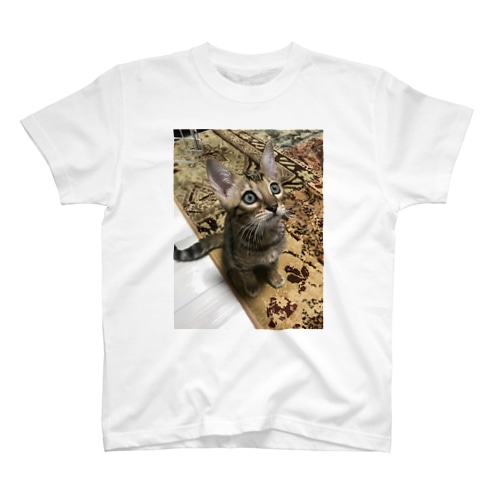 のんたん、 Regular Fit T-Shirt