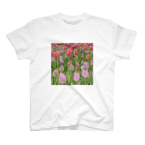 TULIP pink×purple スタンダードTシャツ