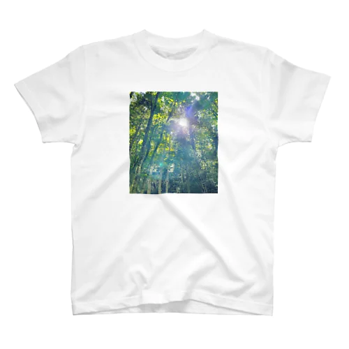 sky Light of the sun スタンダードTシャツ