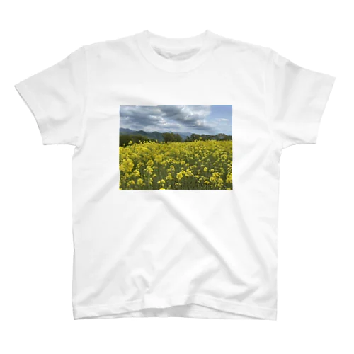 sky Rape field Regular Fit T-Shirt