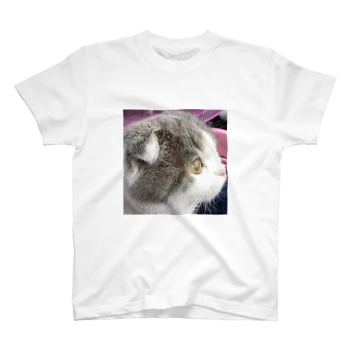 かわ猫みぃ Regular Fit T-Shirt