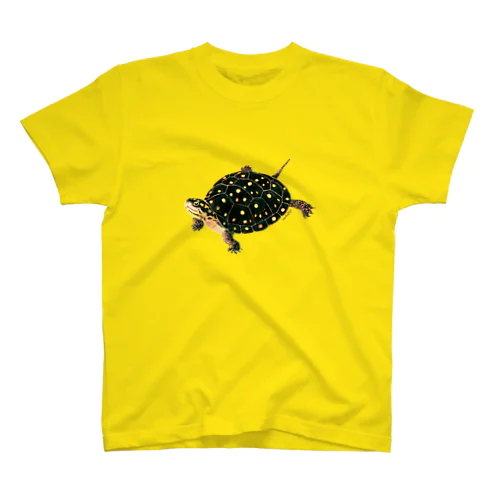 キボシイシガメ Regular Fit T-Shirt