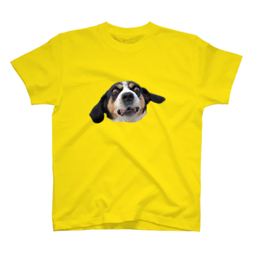 無駄吠えビーグル犬 Regular Fit T-Shirt