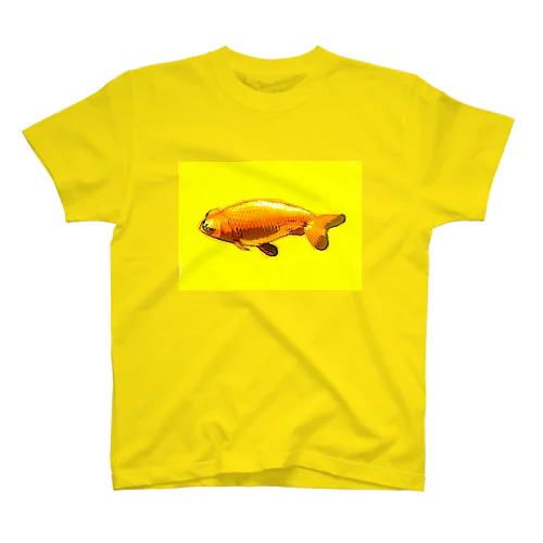 珍しい金魚！ スタンダードTシャツ