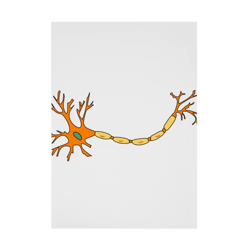 神経細胞 Stickable Poster