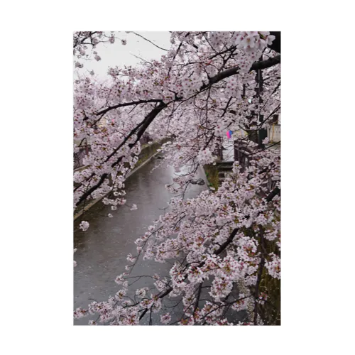 桜 吸着ポスター