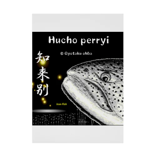 イトウ！知来別（HUCHO PERRYI）生命たちへ感謝を捧げます。※価格は予告なく改定される場合がございます。 Stickable Poster