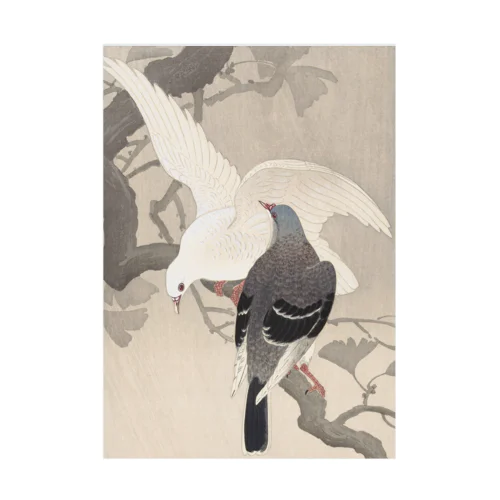 日本画：浮世絵：雨中の公孫樹に鳩 吸着ポスター