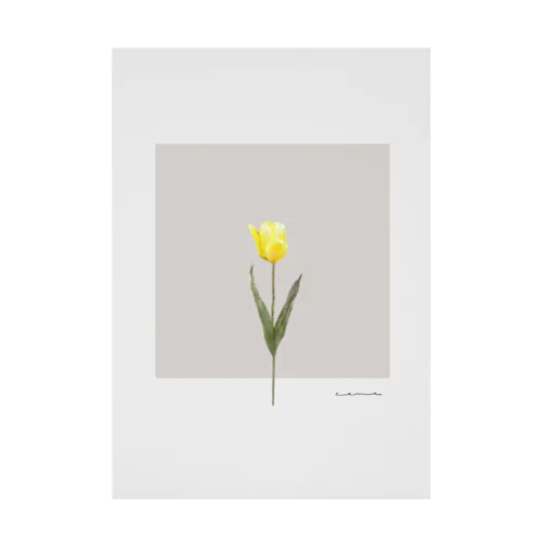 sakura milk tea . yellow .  tulip . Stickable Poster