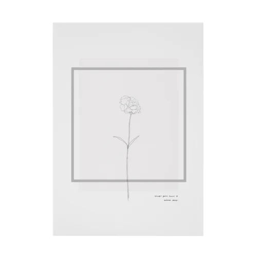  Graypink Carnation . Stickable Poster