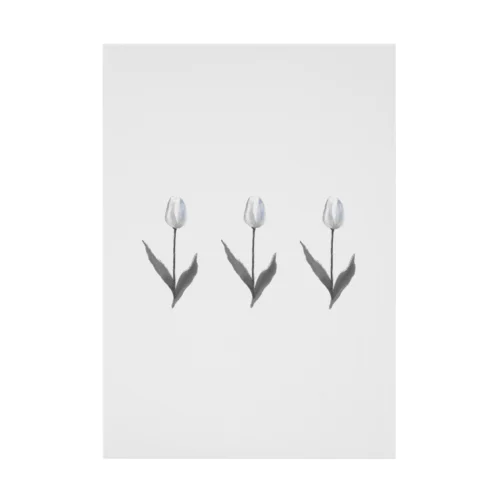 Three TULIP, White gray blue . Stickable Poster