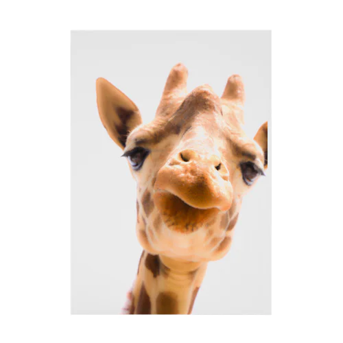 Giraffe Stickable Poster