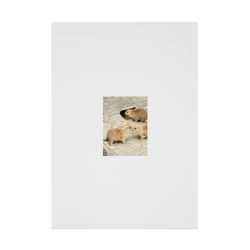 adorable animal Stickable Poster
