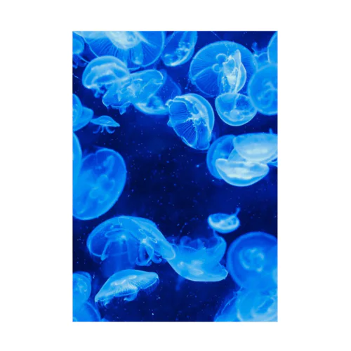 Jellyfish=海月 吸着ポスター