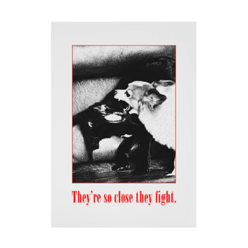 They're so close they fight. Stickable Poster