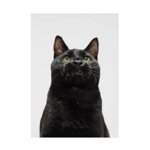 黒猫 吸着ポスター