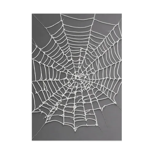 蜘蛛の巣 吸着ポスター