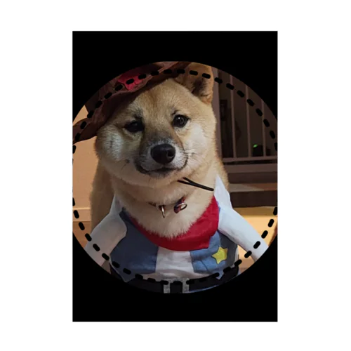 柴犬COOUo･ｪ･oU 吸着ポスター