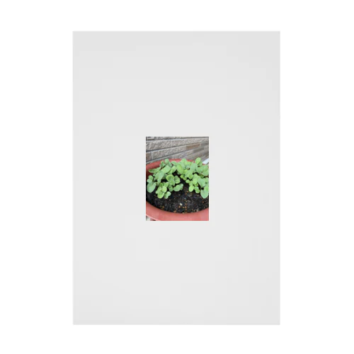 新しい始まりを象徴する緑の新芽がプランターから顔を出しました🌱 Stickable Poster