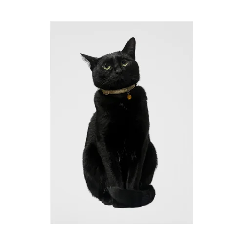 リアル黒猫マメちゃんグッズ 吸着ポスター