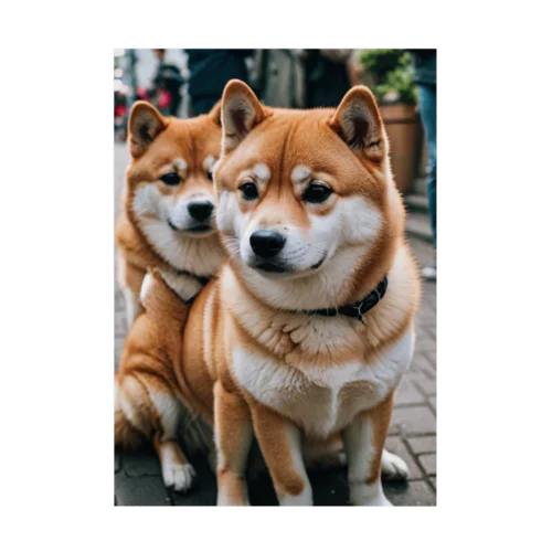 2匹のかわいい柴犬が仲良く並んで写っています。 Stickable Poster