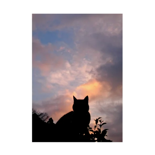 sunset cat Stickable Poster